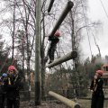 High Ropes